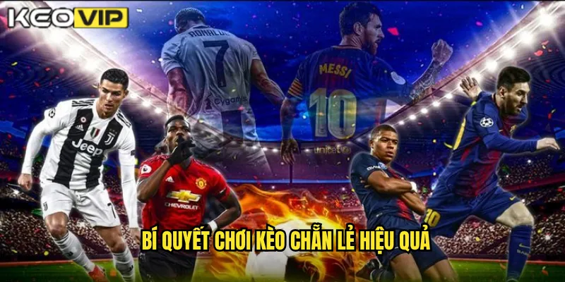 Tỷ lệ thưởng kèo chẵn lẻ Kèo vip